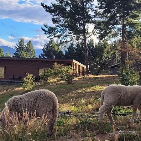 Apartamento Turismo Y Cabanas Dragon De La Patagonia Cochrane Exterior foto