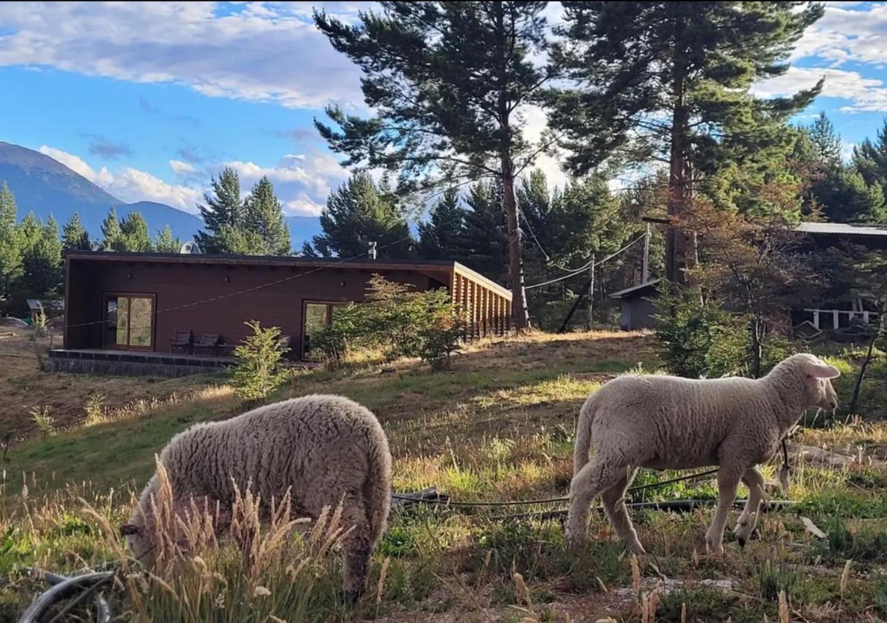 Apartamento Turismo Y Cabanas Dragon De La Patagonia Cochrane Exterior foto