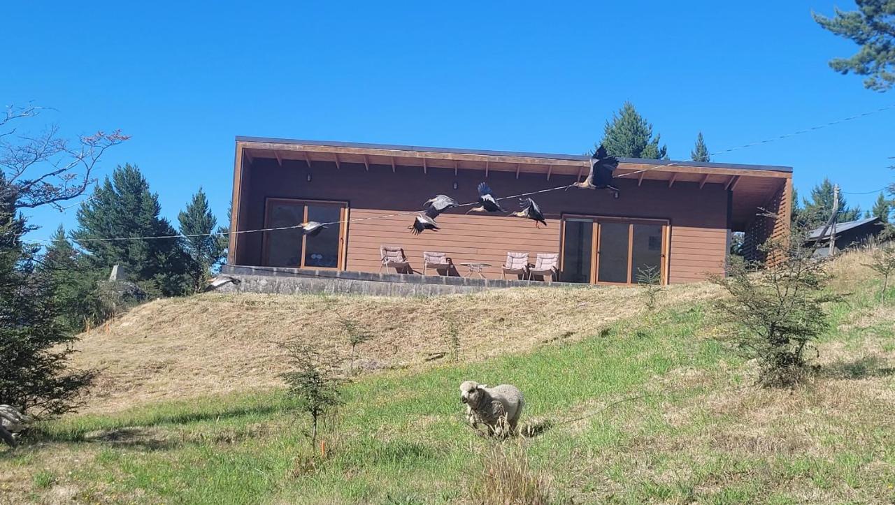 Turismo Y Cabanas Dragon De La Patagonia Cochrane Exterior foto